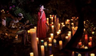 CONNECT PRODUCE PREMIUM WEDDING